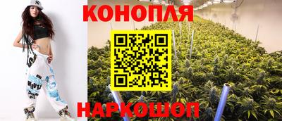шишки Чебоксары