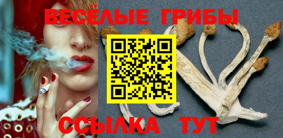 Асино  Галлюциногенные грибы прущие грибы  Вход с VPN 